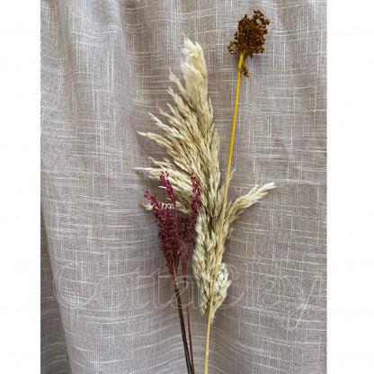 Fleurs séchées & Branches Pampas (Mini Bouquet)